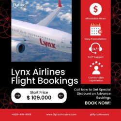 Lynx Airlines Flight Bookings