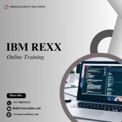IBM REXX