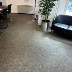 Expert Carpet Cleaning in Central London