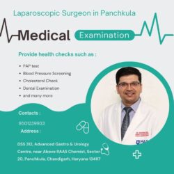 Laparoscopic Surgeon in Panchkula