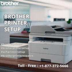 Brother Printer Setup