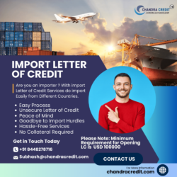 Import Letter of Credit (1) (1)