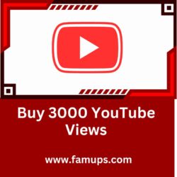 Buy 3000 YouTube Views (3)