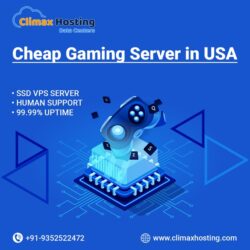 Cheap Gaming Server in USA