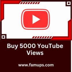 Buy 5000 YouTube Views (1)