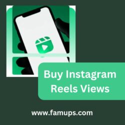 Buy Instagram Reels Views (7)