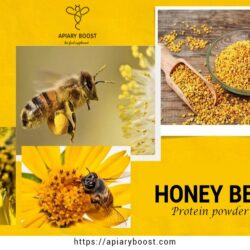 honey bee protein powder - Copy