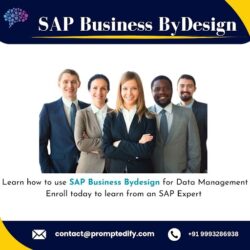 SAP Business By Design 2