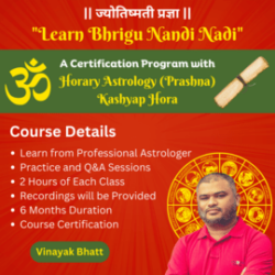 Learn Bhrigu Nandi Nadi in English with Horary Astrology (1)