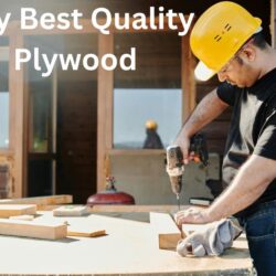 Buy Best Quality Plywood