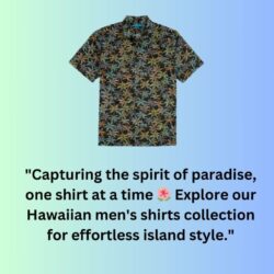 Hawaiian Men's Shirts (1)