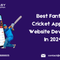 Best Fantasy Cricket App And Website Developer In 2024