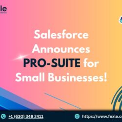 Salesforce Announces Pro Suite for small businesses