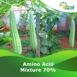 AMINO-ACID-MIXTURE-70_-1