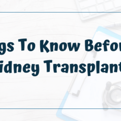 Things To Know Before A Kidney Transplant