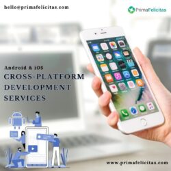 Mobile app development (1)