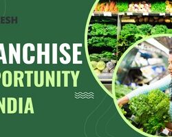 Franchise Opportunity in India