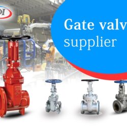 Gate Valves Supplier and Flanges Supplier in UAE - BDIUAE