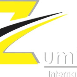 Zumizo logo