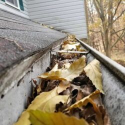 Liles-Before-Gutter-Cleaning