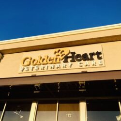 Storefront-Building-Signs-of-Golden-Heart-in-Florida