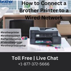 How to Connect a Brother Printer to a Wired Network