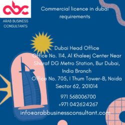 commercial licence in dubai requirements (1)