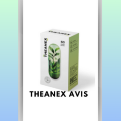 Theanex Avis (1)