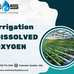 Find The Best Nanobubbles Irrigation Dissolved Oxygen