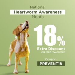 Heartworm awareness month