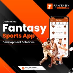 Customized Fantasy Sports App Development Solutions