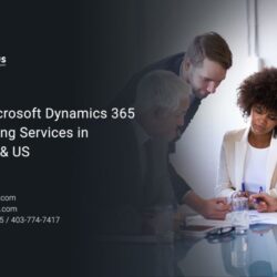 Best Microsoft Dynamics 365 Consulting Services in Canada & US.