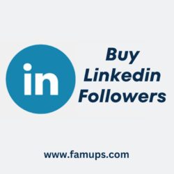 buy linkedin followers (5)
