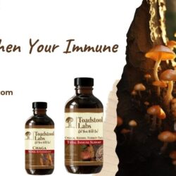 Strengthen Your Immune System with Reishi and Turkey tail syrup (1)