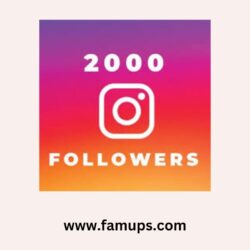 buy 2000 instagram followers (1)
