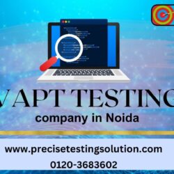 Accessibility Testing- Precise Testing Solution  (4)