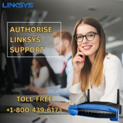 Authorise Linksys Support  (2)
