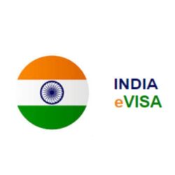 INDIA visa logo