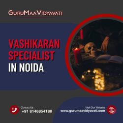 Vashikaran Specialist in Noida (1)