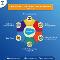 Salesforce Support (1)