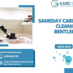 sameday carpet cleaning Bentleigh
