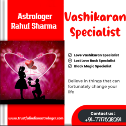 Vashikaran Specialist in USA