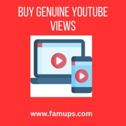 buy genuine youtube views (1)