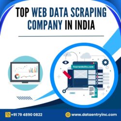 Best Web Data Scraping Services In India