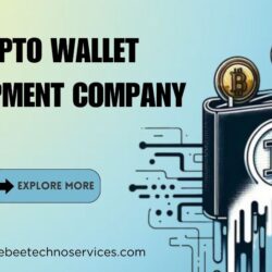 Exploring the Essential Component for Designing Crypto Wallet Development Strategy (1)