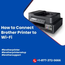 How to Connect Brother Printer to Wi-Fi
