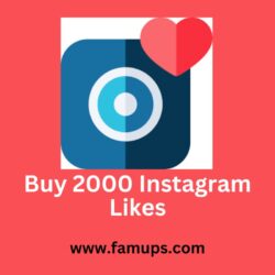 buy 2000 instagram likes (1)