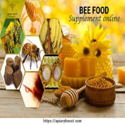 bee food supplement online