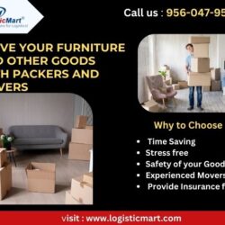 moving furniture and other items