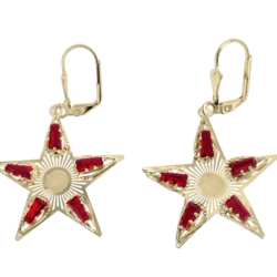 Duck Paw Big Star Stoned Earring